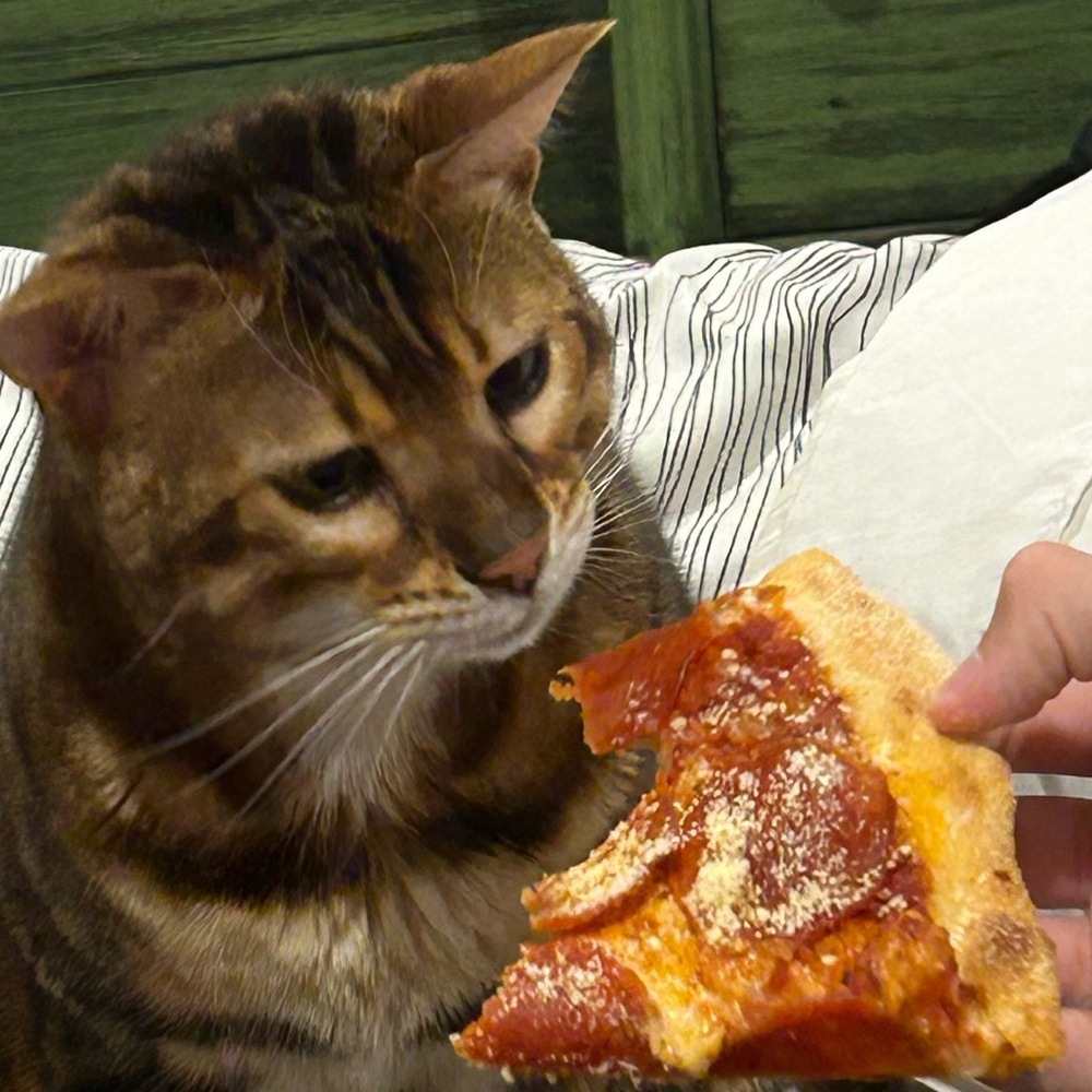 🫶🏻🫶🏻